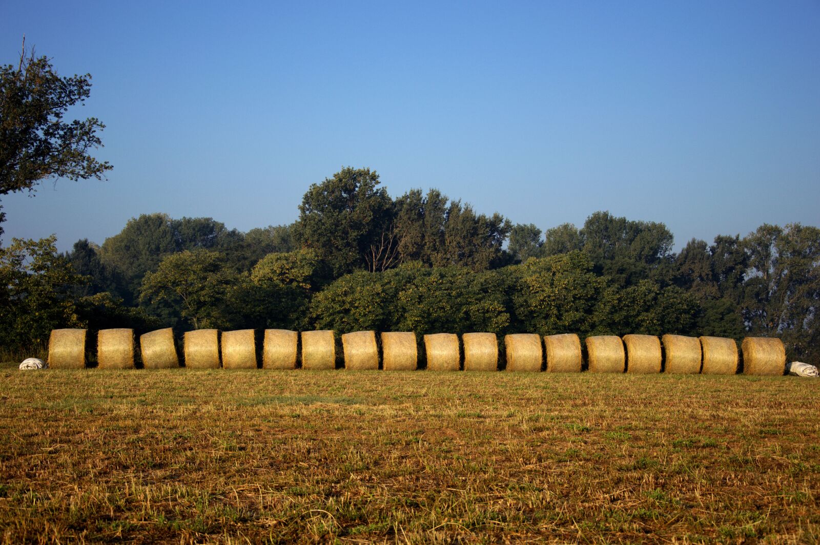 Nikon D3200 sample photo. Hay, fields, agriculture photography