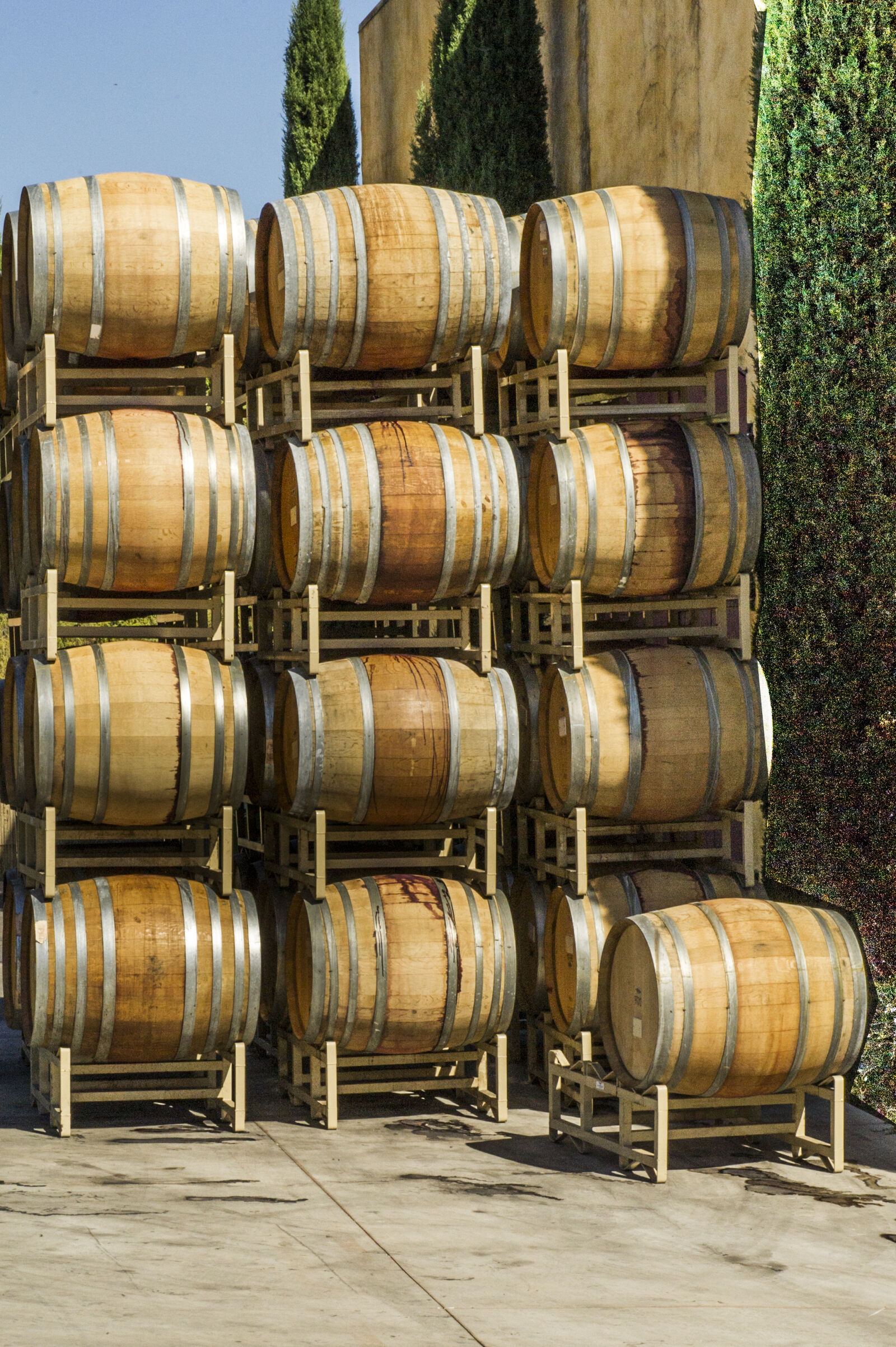 Nikon D3S sample photo. Barrels, vats, wine, wine photography