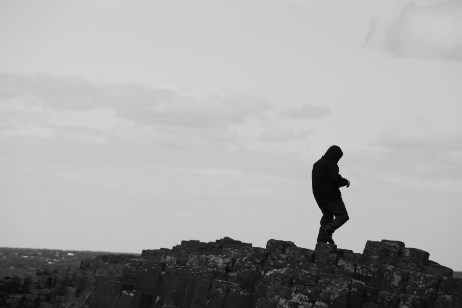 Canon EOS 500D (EOS Rebel T1i / EOS Kiss X3) sample photo. Black and white, giants photography