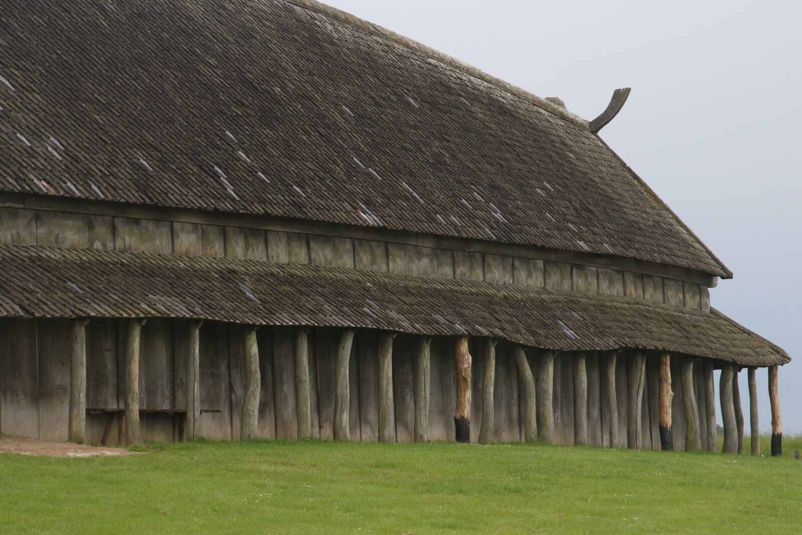 Canon EOS 7D Mark II sample photo. Grass, home, house, old photography