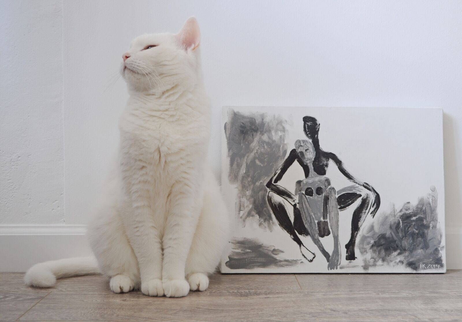 Nikon D5000 sample photo. Cat, animal, cat portrait photography
