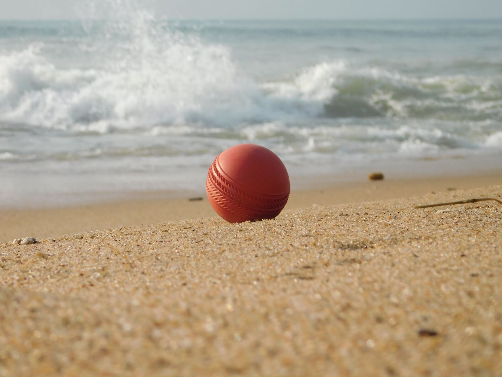 Nikon Coolpix L840 sample photo. Ball, cricket, beach photography