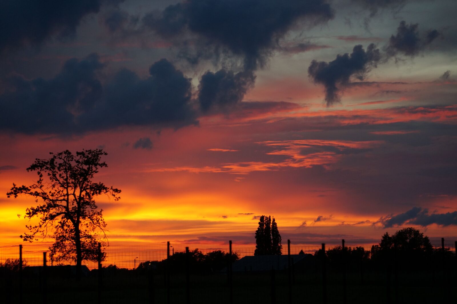 Sony Alpha NEX-6 sample photo. Sunset, beautiful sky, weeping photography