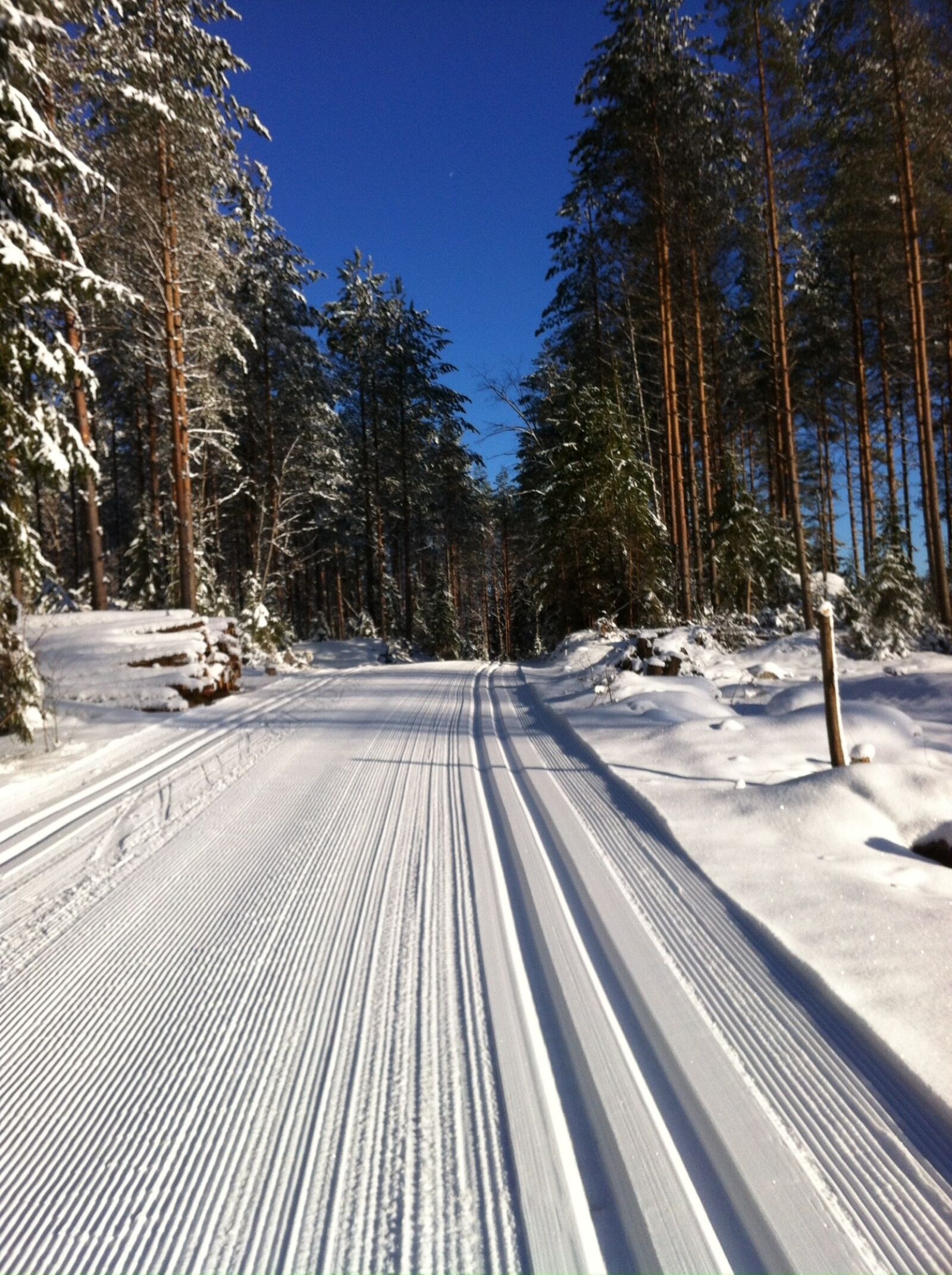 iPhone 4 back camera 3.85mm f/2.8 sample photo. Cross-country trail, cross-country skiing photography