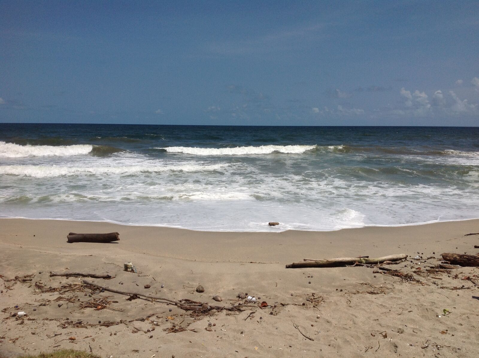 Apple iPad sample photo. Drift, wood, beach photography