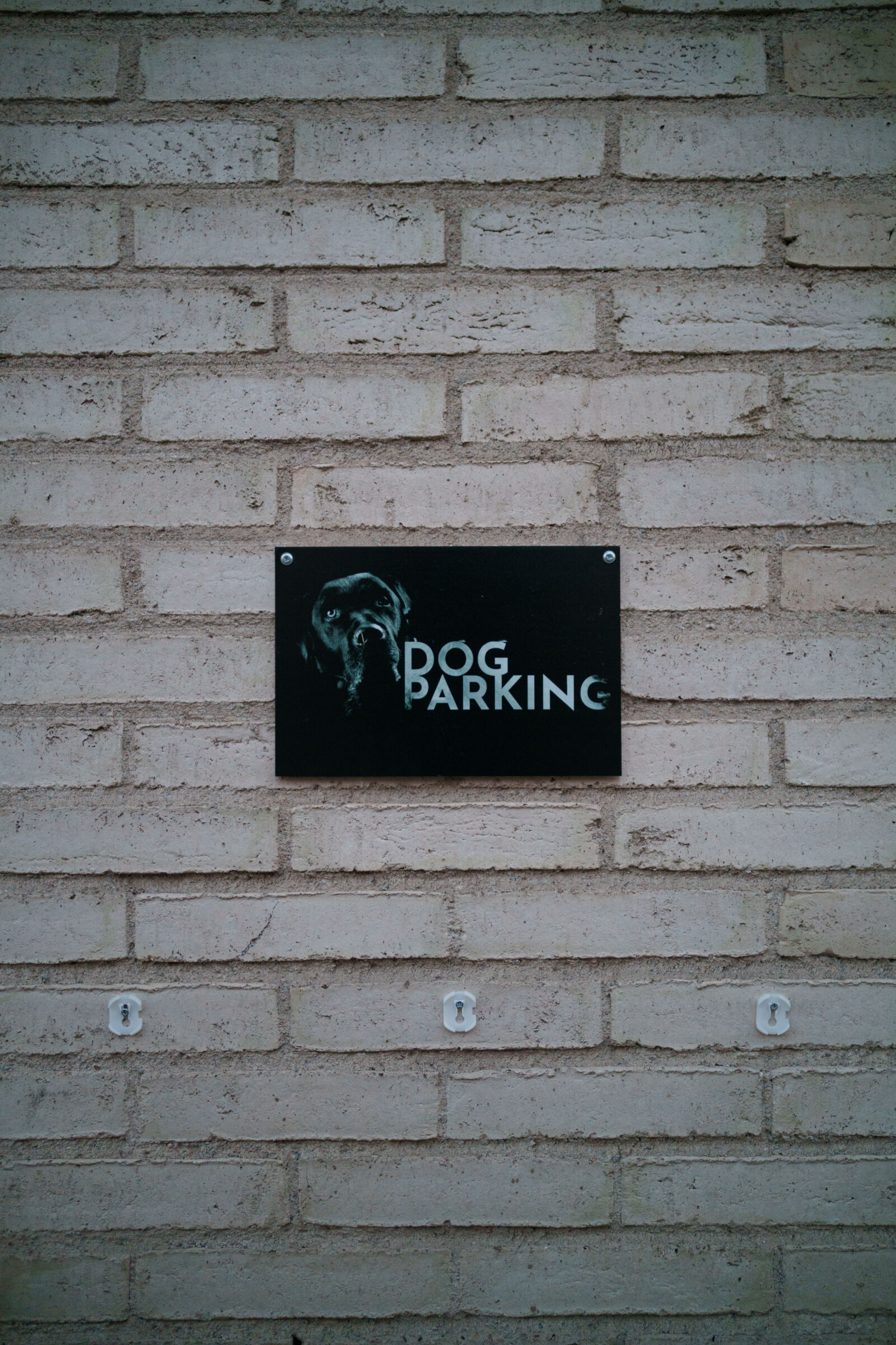 Samyang Remaster Slim 28mm F3.5 sample photo. Dog parking photography