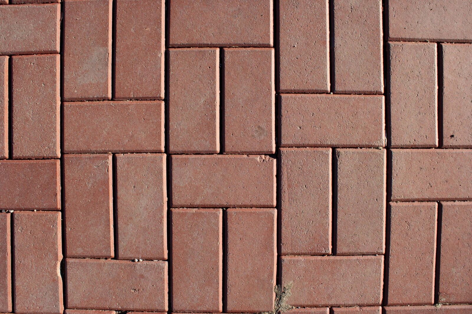f/3.5-5.6 IS sample photo. Red bricks, pavers, sidewalk photography
