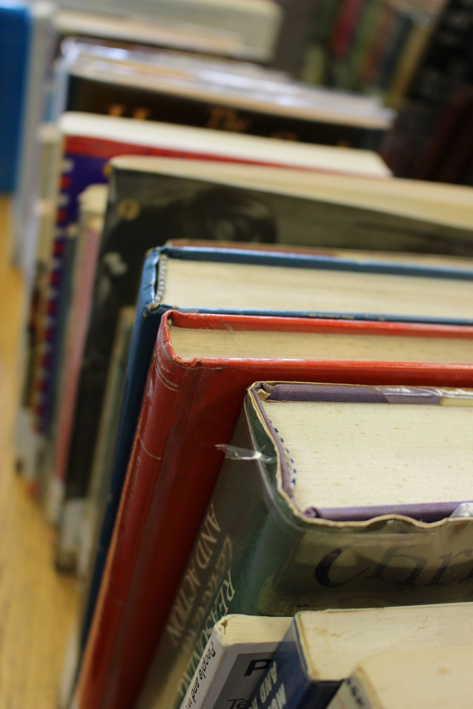Canon EOS 100D (EOS Rebel SL1 / EOS Kiss X7) sample photo. Books, knowledge, education photography