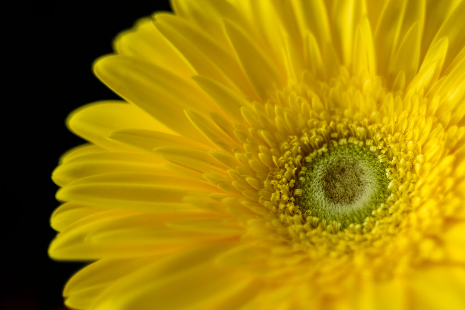 Nikon D750 sample photo
