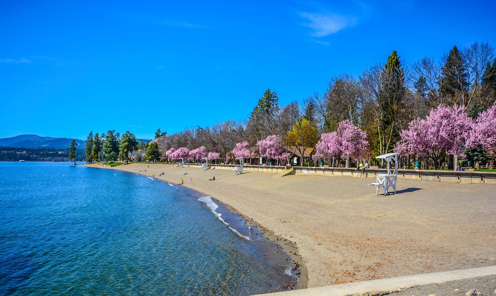 Nikon D5200 sample photo. Beach, spring, coast photography