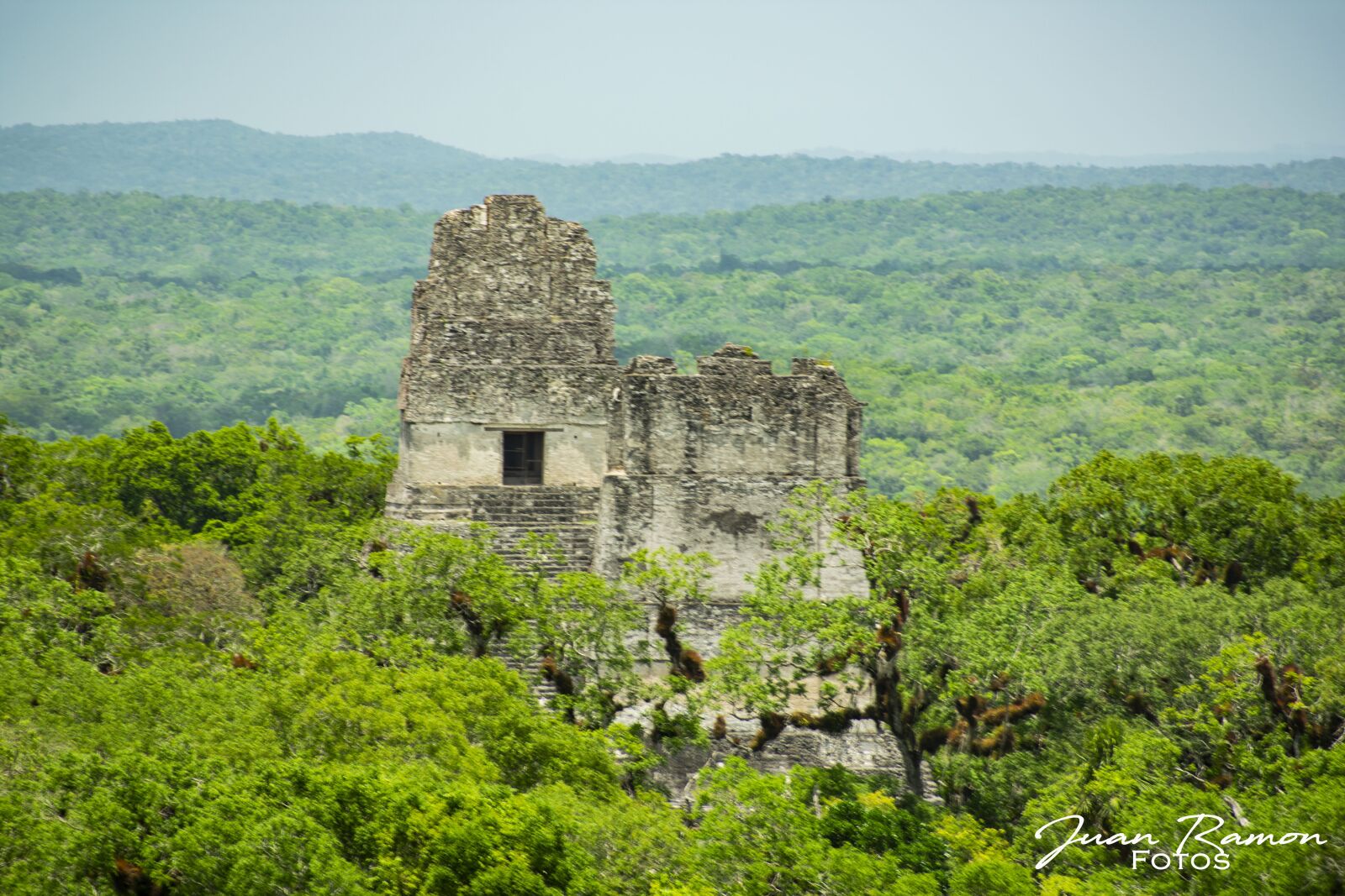 Nikon D3400 sample photo. Tikal, guatemalan, jungle photography