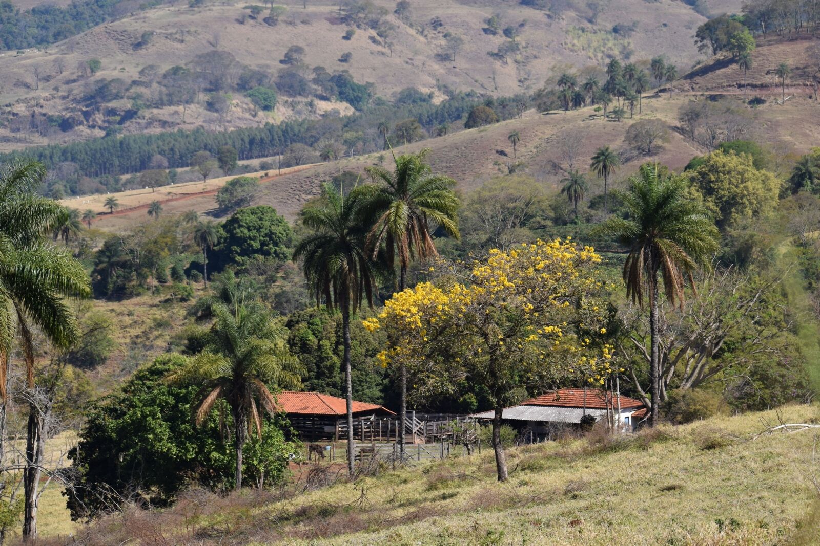 Nikon D5300 sample photo. Landscape, farm, field photography