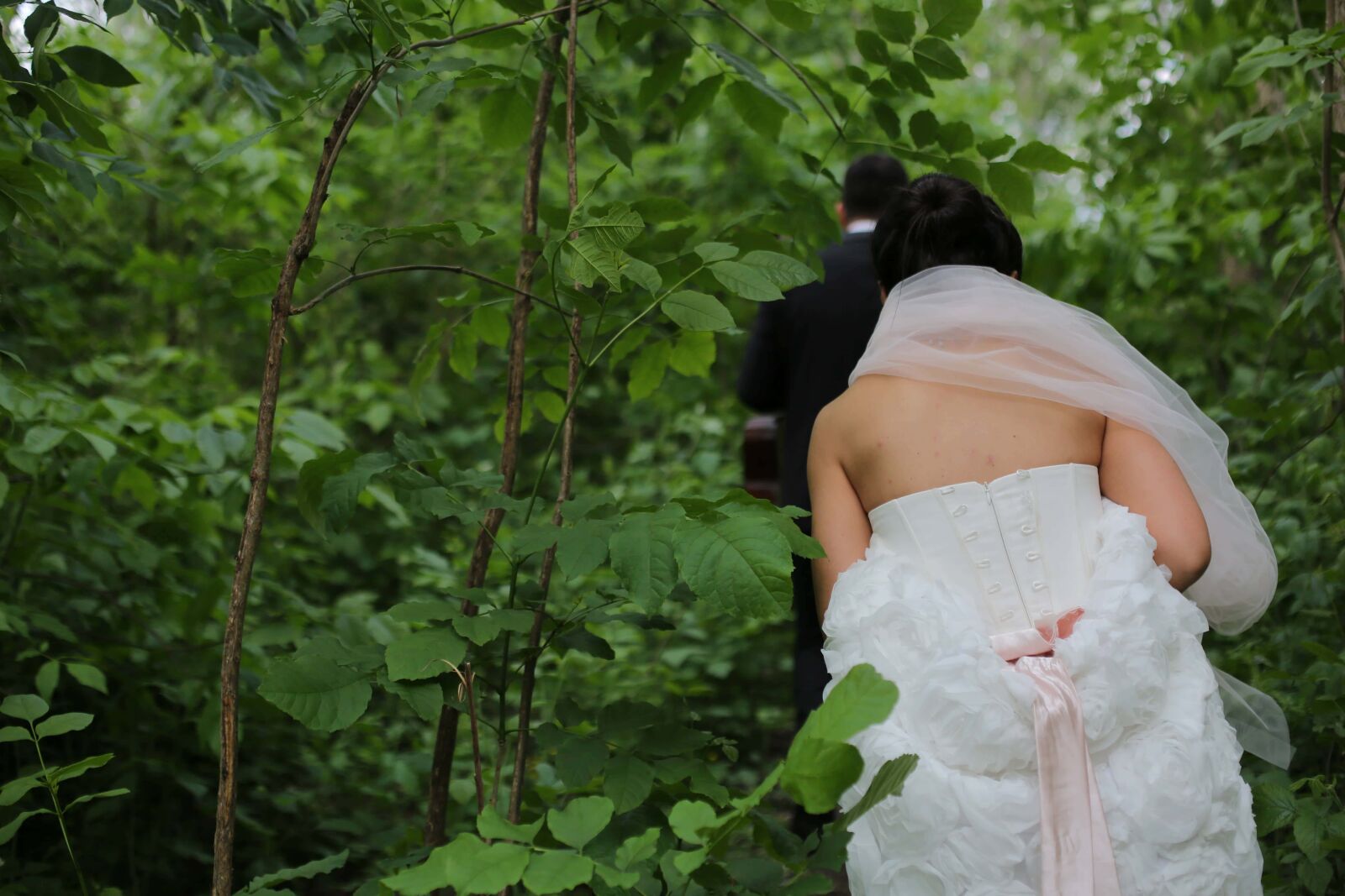 Canon EF 50mm F1.4 USM sample photo. Bride, forest, forest trail photography