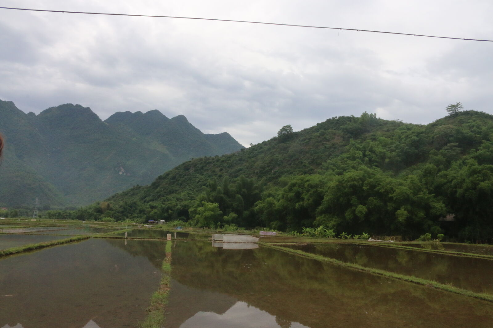 Canon EOS 70D sample photo