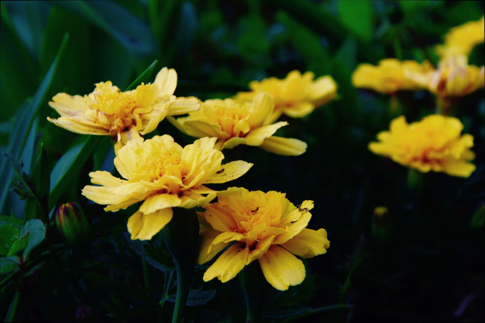 Nikon D3200 sample photo