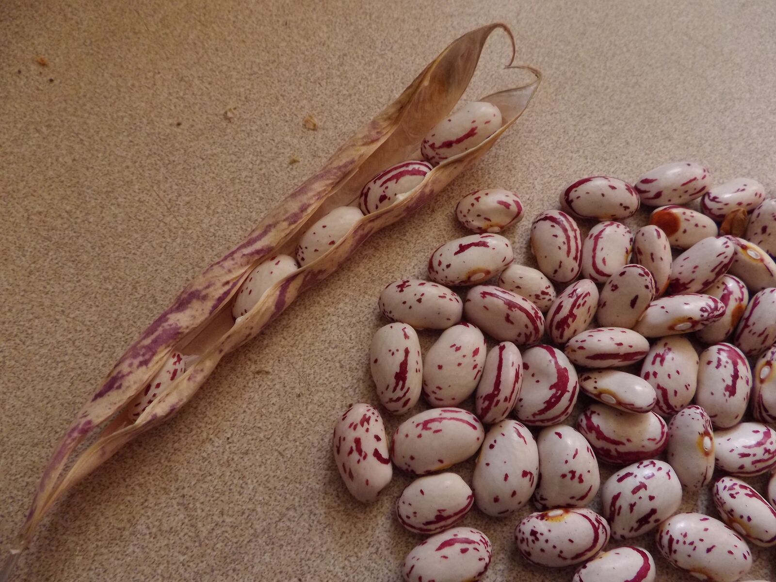 Pentax Optio VS20 sample photo. Cranberry, beans, food photography