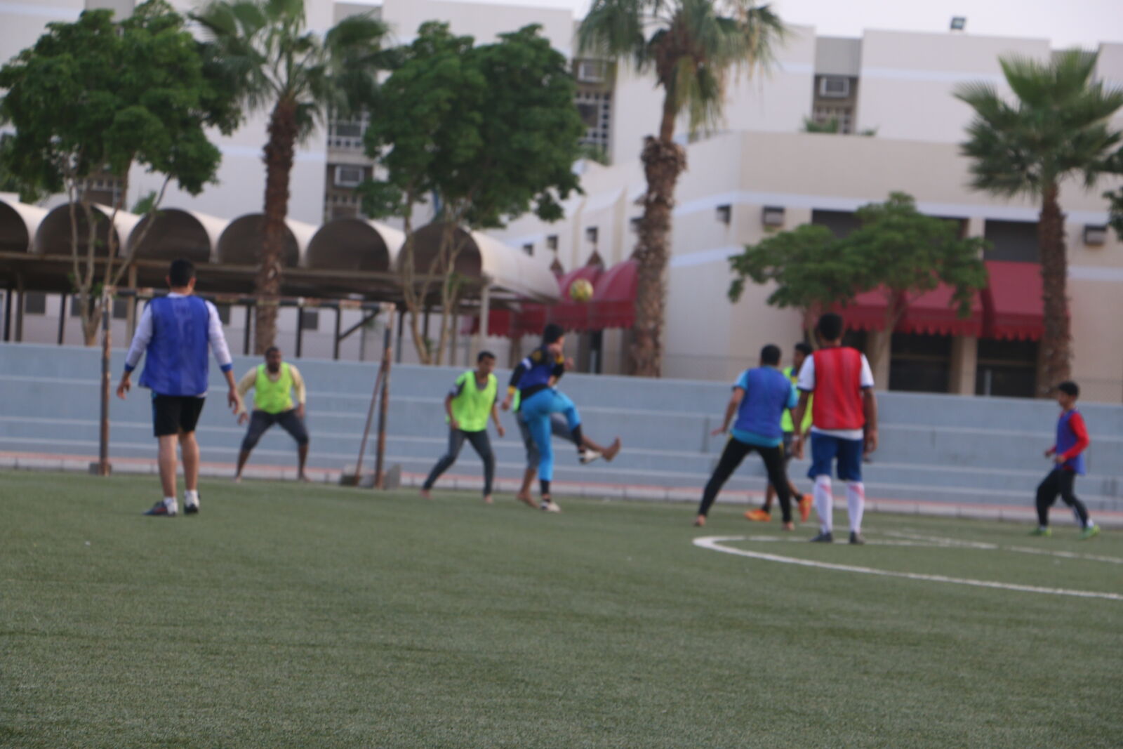 Canon EOS 70D sample photo