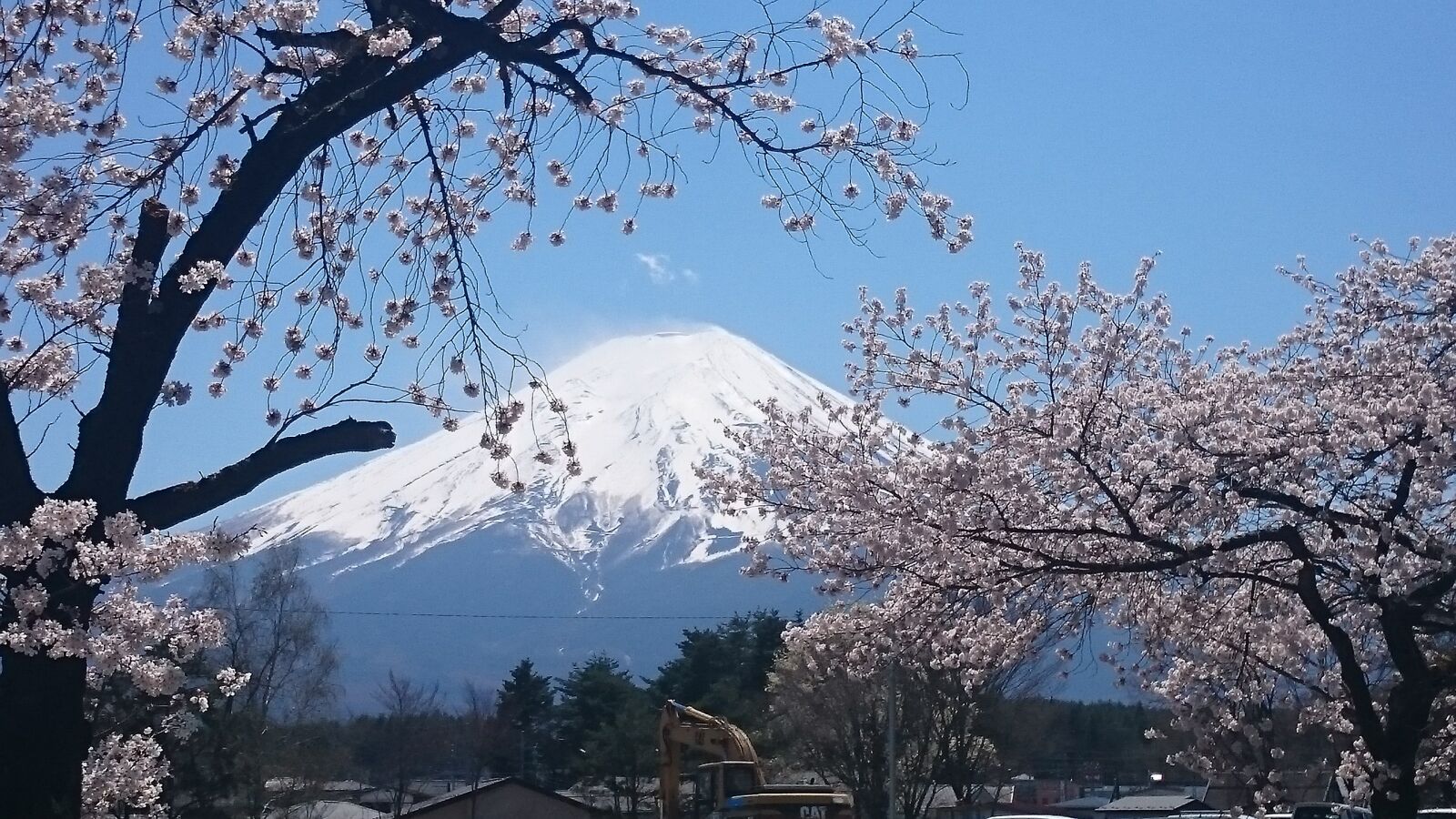 Sony Xperia Z2 sample photo. Mt fuji, cherry blossoms photography