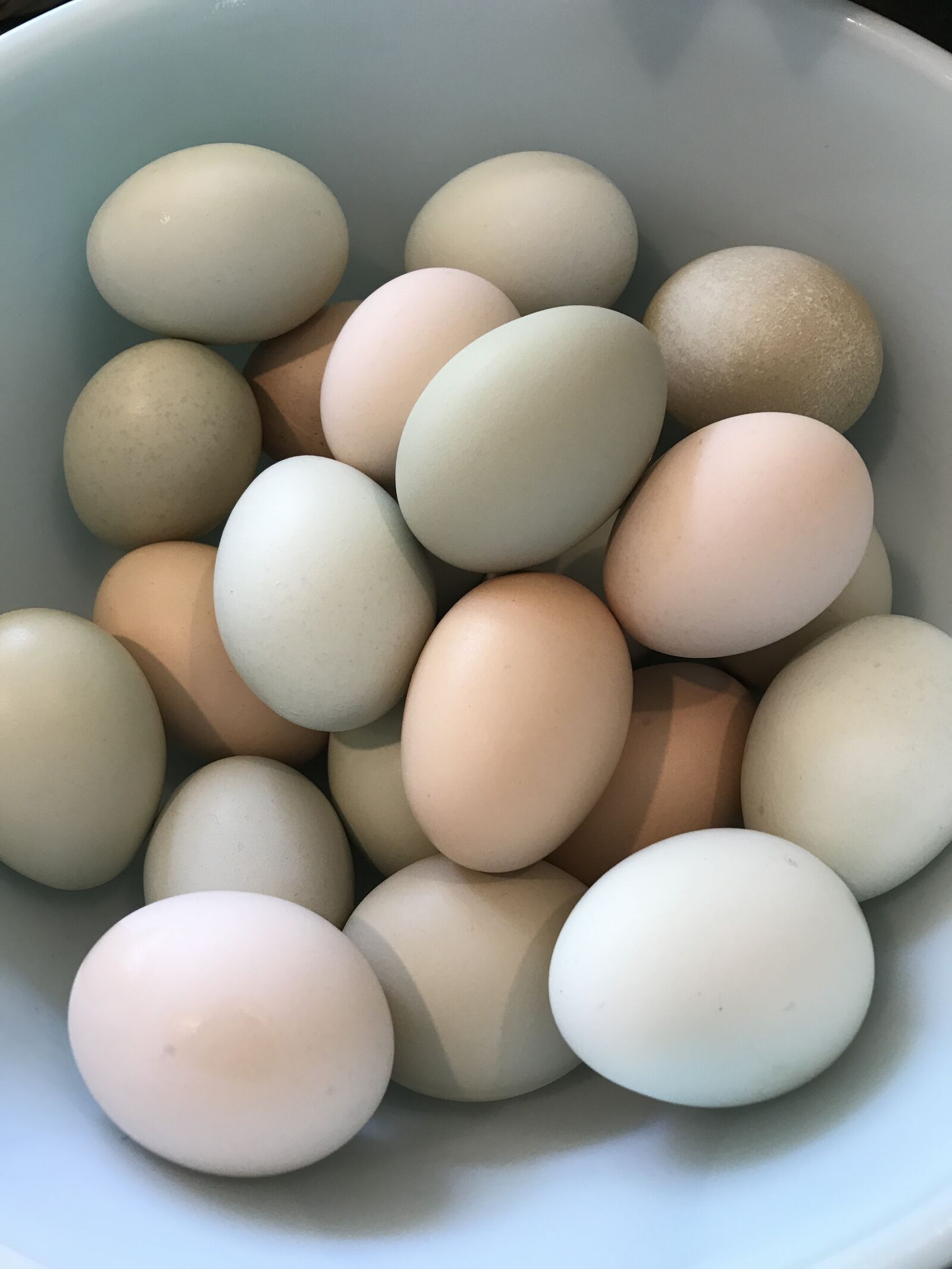 Apple iPhone 7 Plus sample photo. Eggs, pastel, homegrown photography