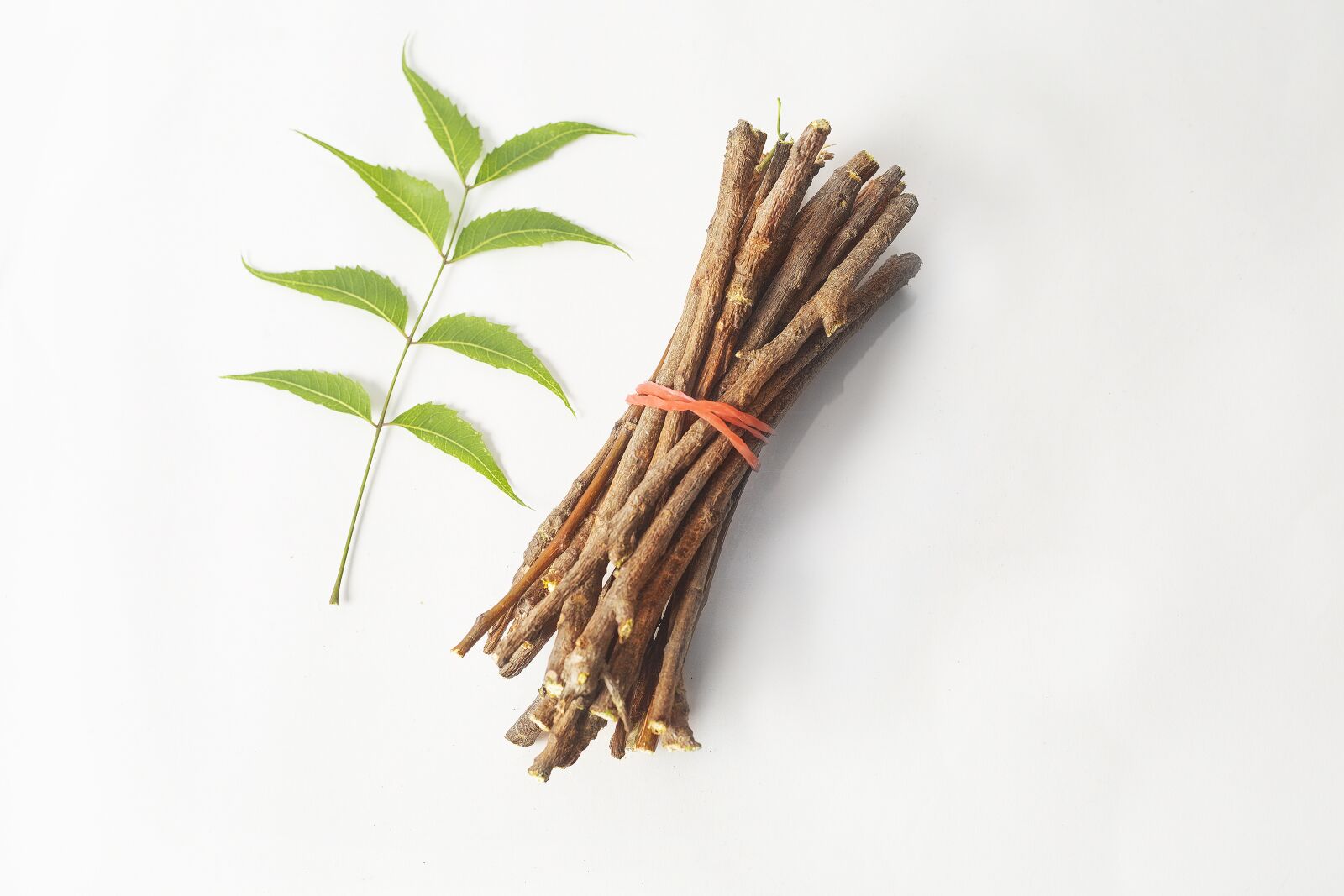 Canon EOS 5D Mark III sample photo. Ayurveda, ayurveda herbs, beauty photography