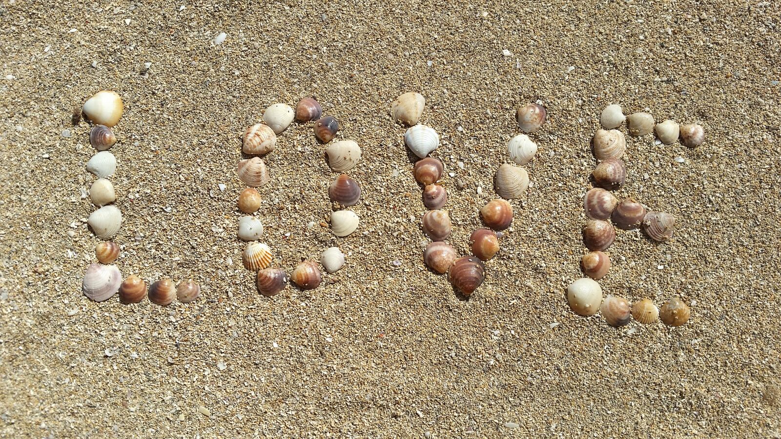 Samsung Galaxy S5 sample photo. Mussels, sand, love photography