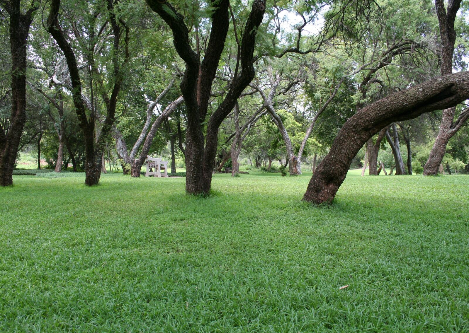 Canon EOS 350D (EOS Digital Rebel XT / EOS Kiss Digital N) sample photo. Scenic, park, tranquil photography