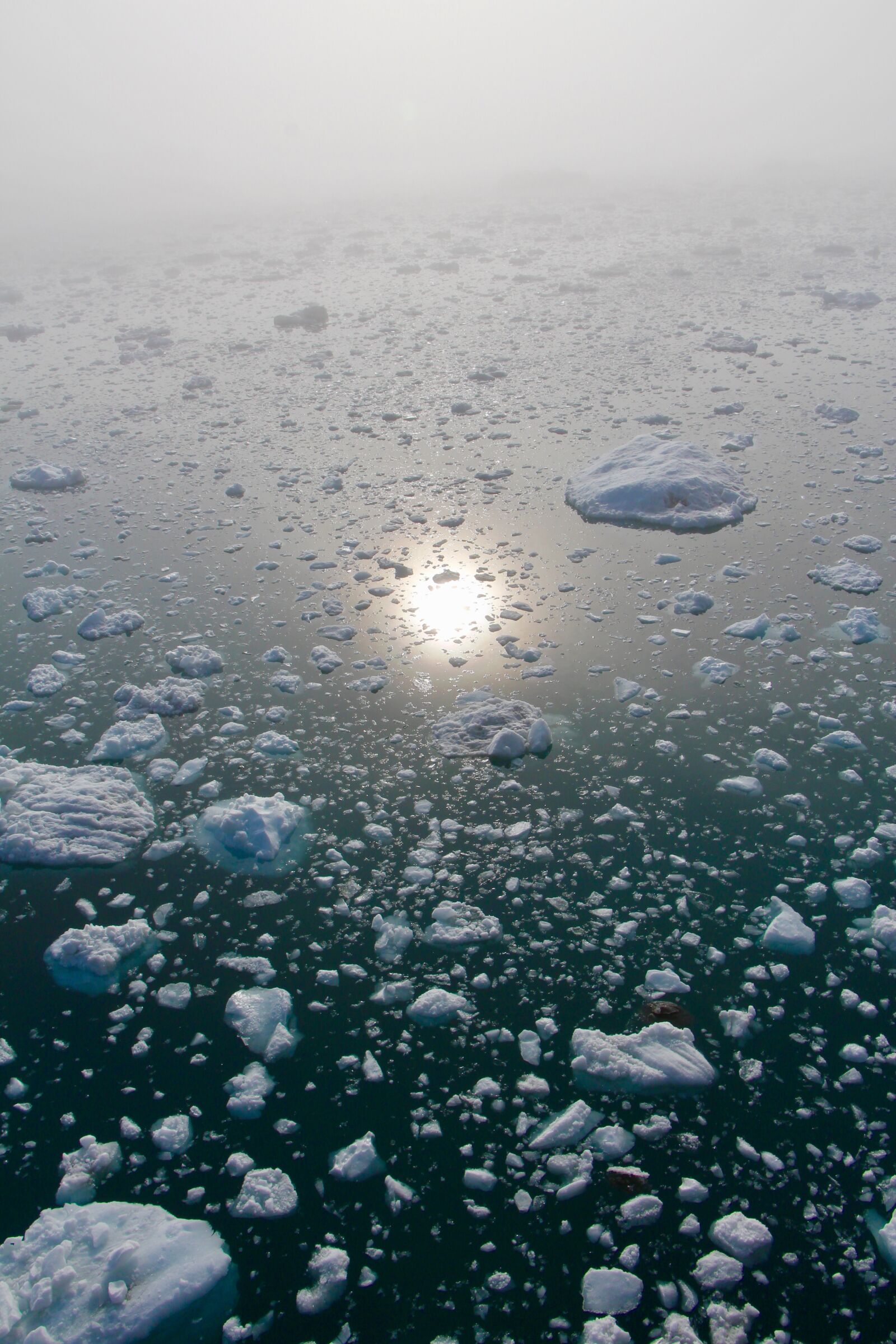Canon EOS 650D (EOS Rebel T4i / EOS Kiss X6i) sample photo. Arctic, arctic circle, greenland photography
