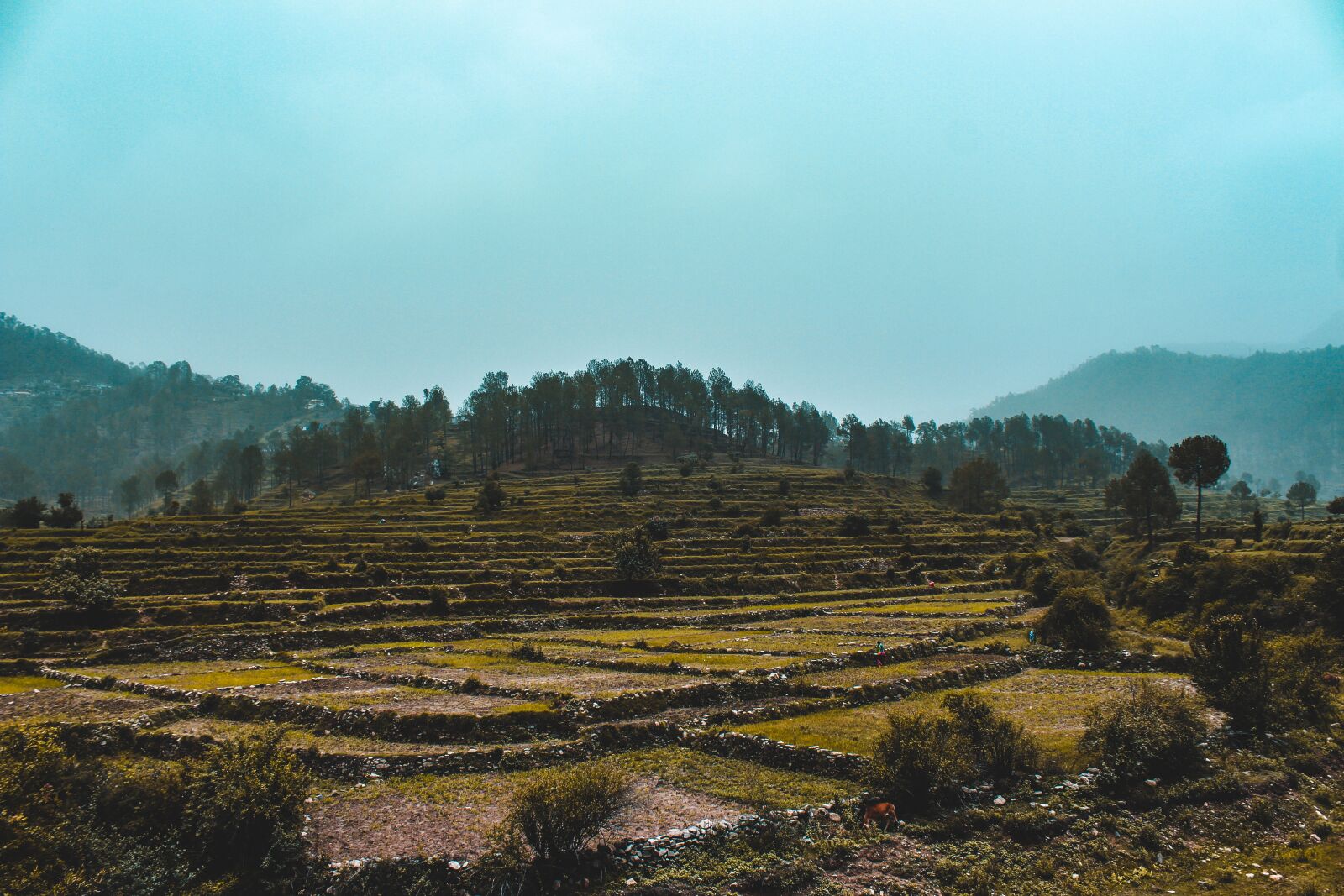 Canon EOS 700D (EOS Rebel T5i / EOS Kiss X7i) sample photo. Fields, mountain, vietnam photography