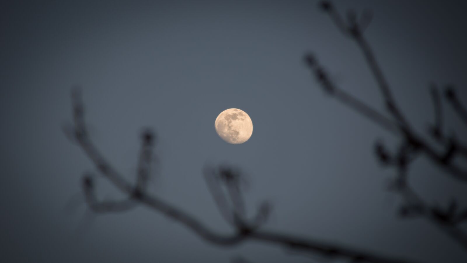 Tamron 18-200mm F3.5-6.3 Di II VC sample photo. Moon, fullmoon, threes photography