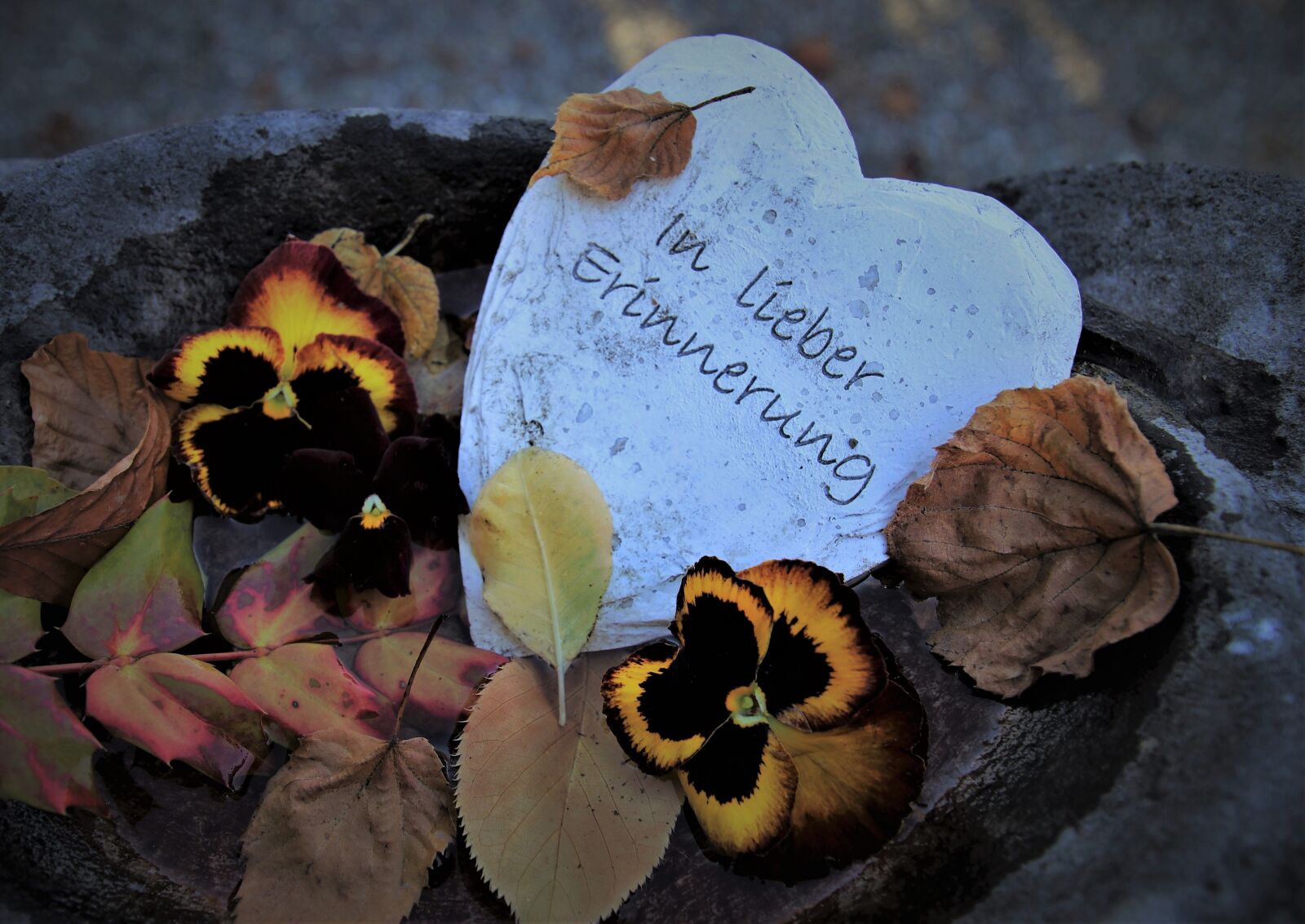 Canon EOS 80D sample photo. Stone heart, memory, goodbye photography