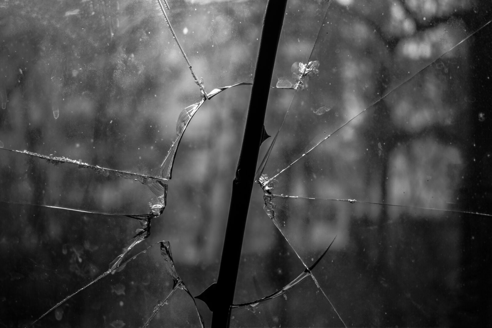 Nikon D3300 sample photo. The broken window, the photography