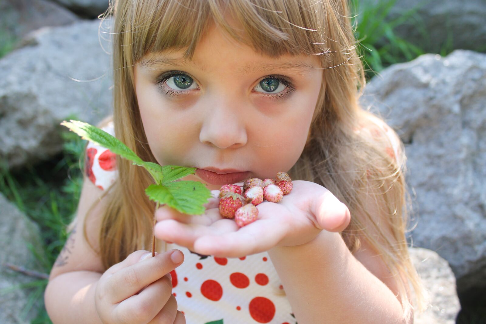 Canon EOS 1100D (EOS Rebel T3 / EOS Kiss X50) sample photo. Wild strawberry, summer, girl photography