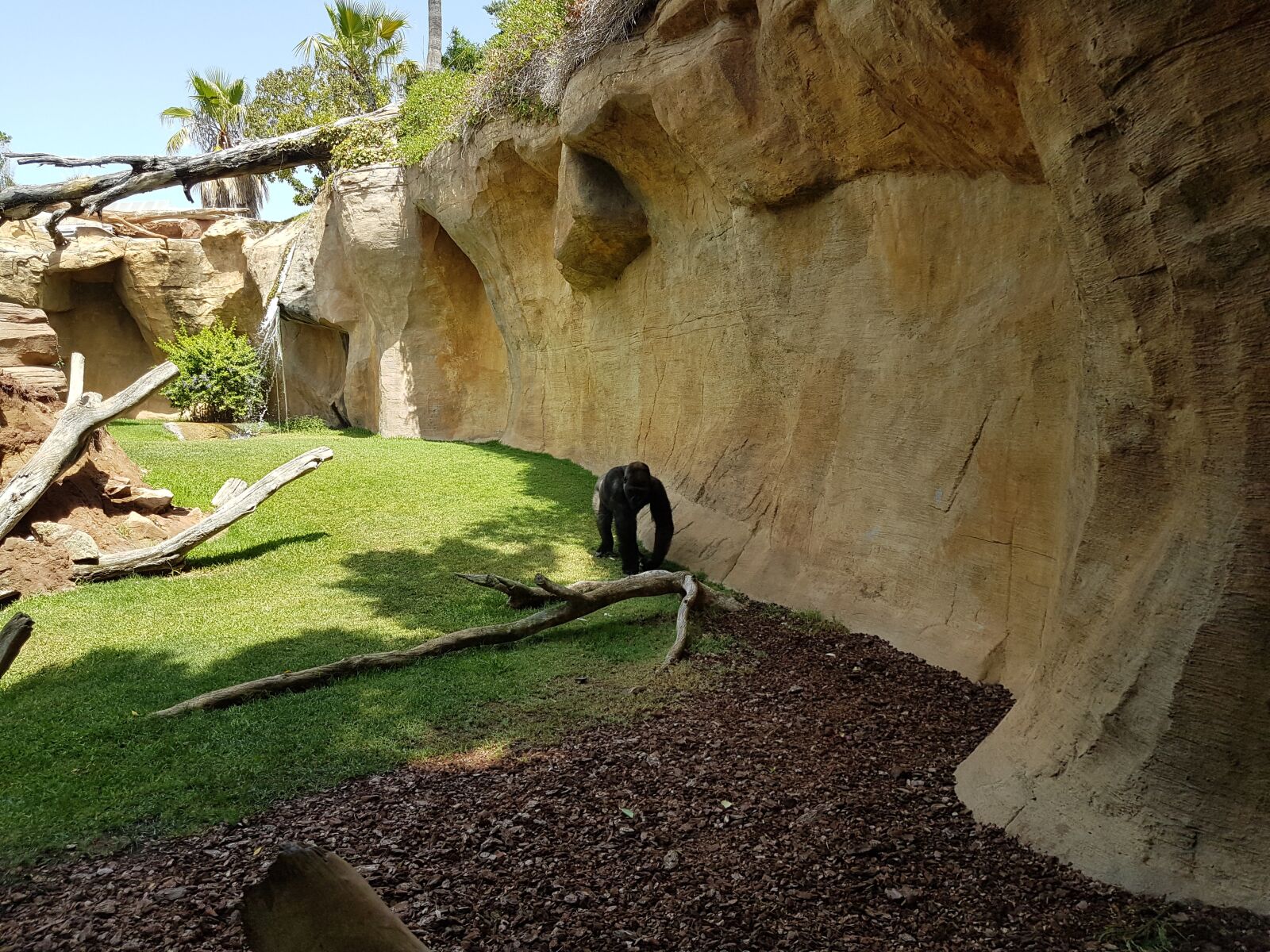 Samsung Galaxy S7 sample photo. Zoo, nature, summer photography