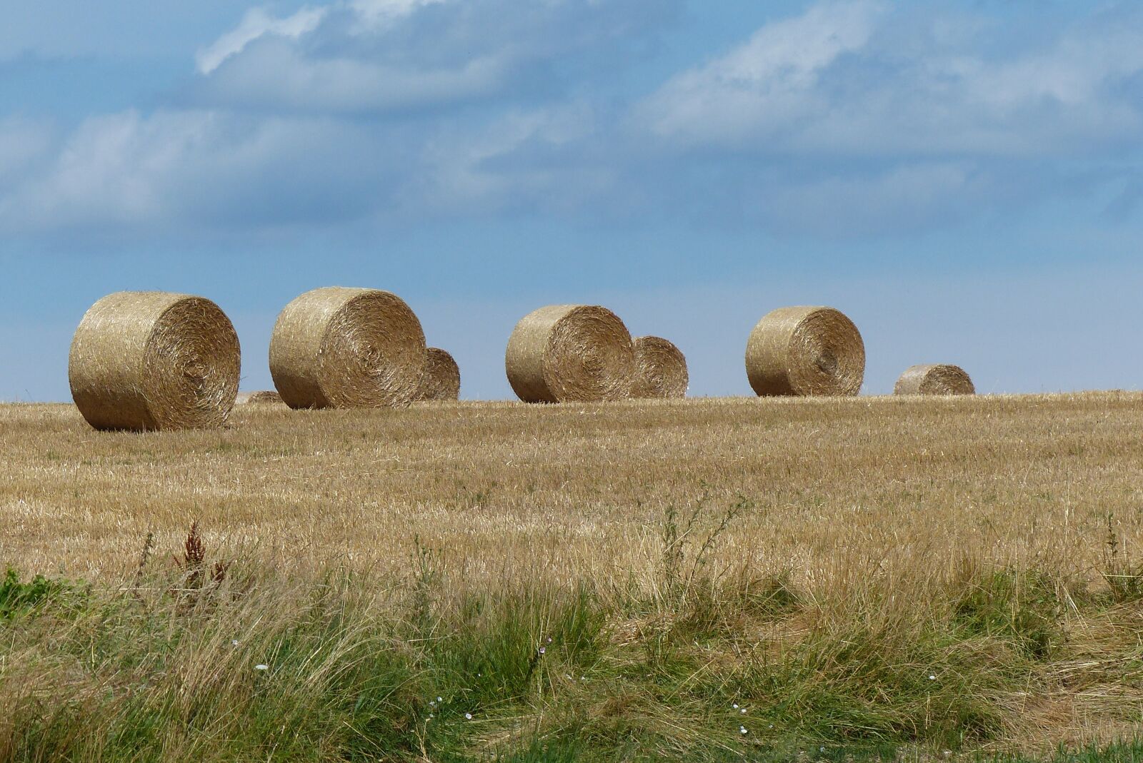 Panasonic Lumix DMC-FZ200 sample photo. Field, straw, boot photography