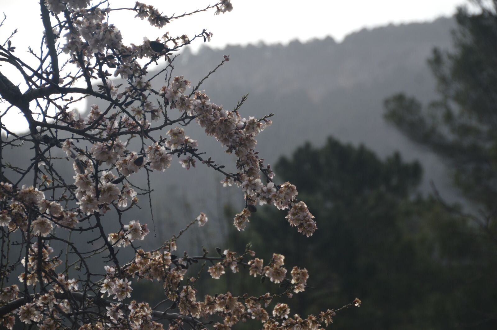 Nikon D3200 sample photo. Albacete, sierra water, waterfall photography