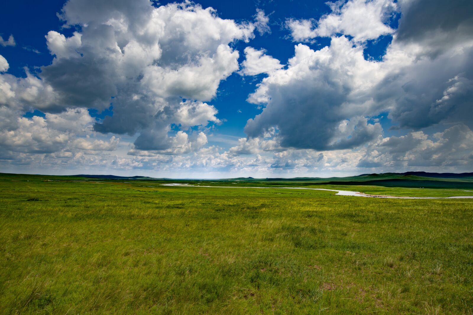 Nikon D800E sample photo. Landscape, meadow, sky photography