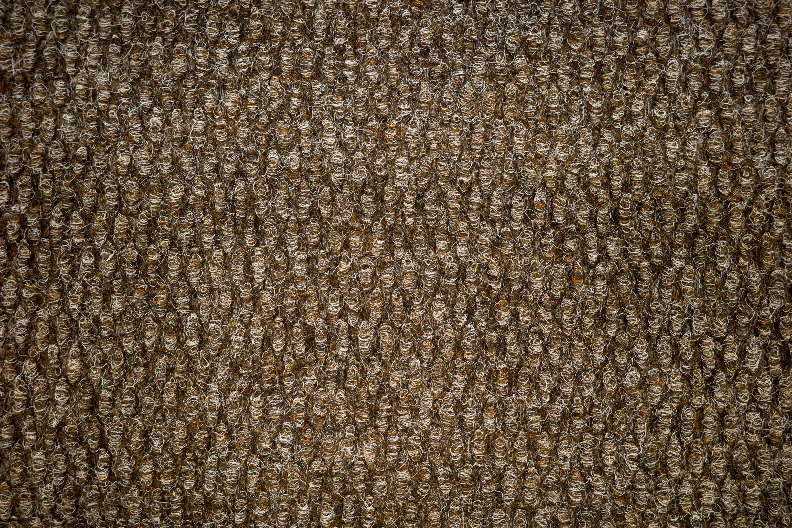 Ricoh GR IIIx sample photo. Carpet sharpness - f/4 photography