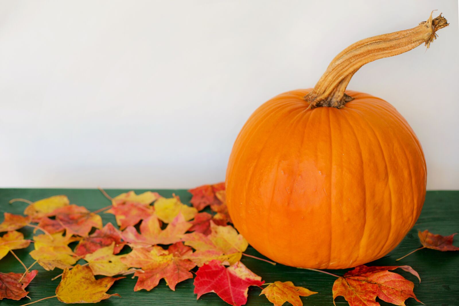 Canon EF 50mm F1.4 USM sample photo. Pumpkin, leaves, autumn photography