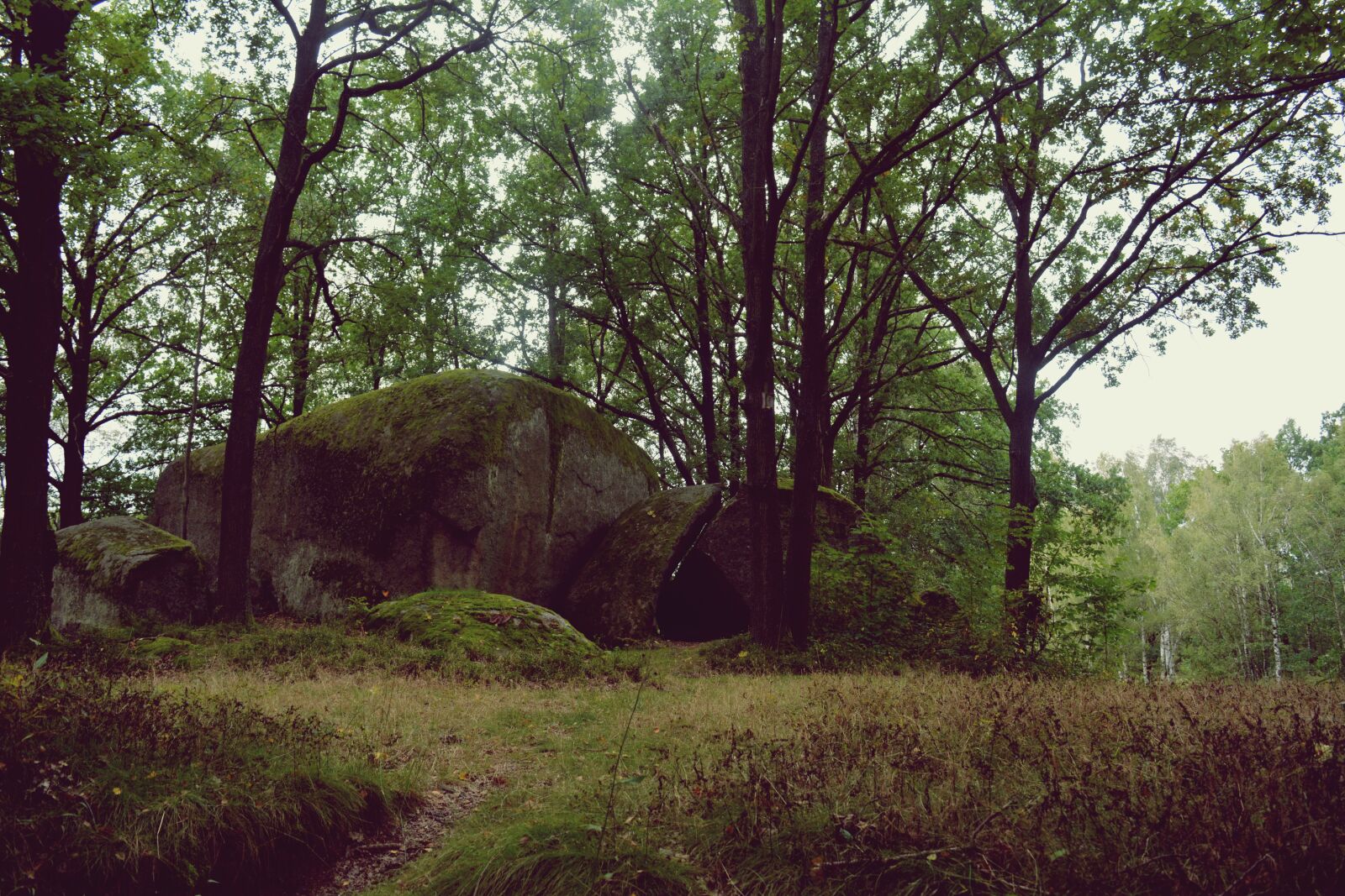 Nikon D5200 sample photo. Stones, nature, lan photography