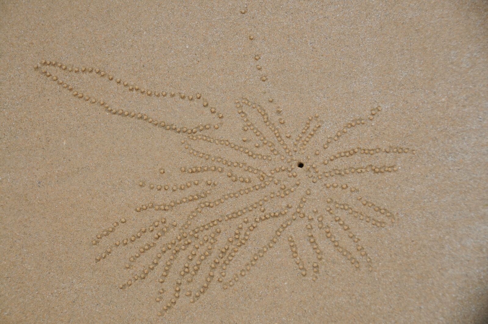 Nikon D300 sample photo. Sand, beach, nature photography