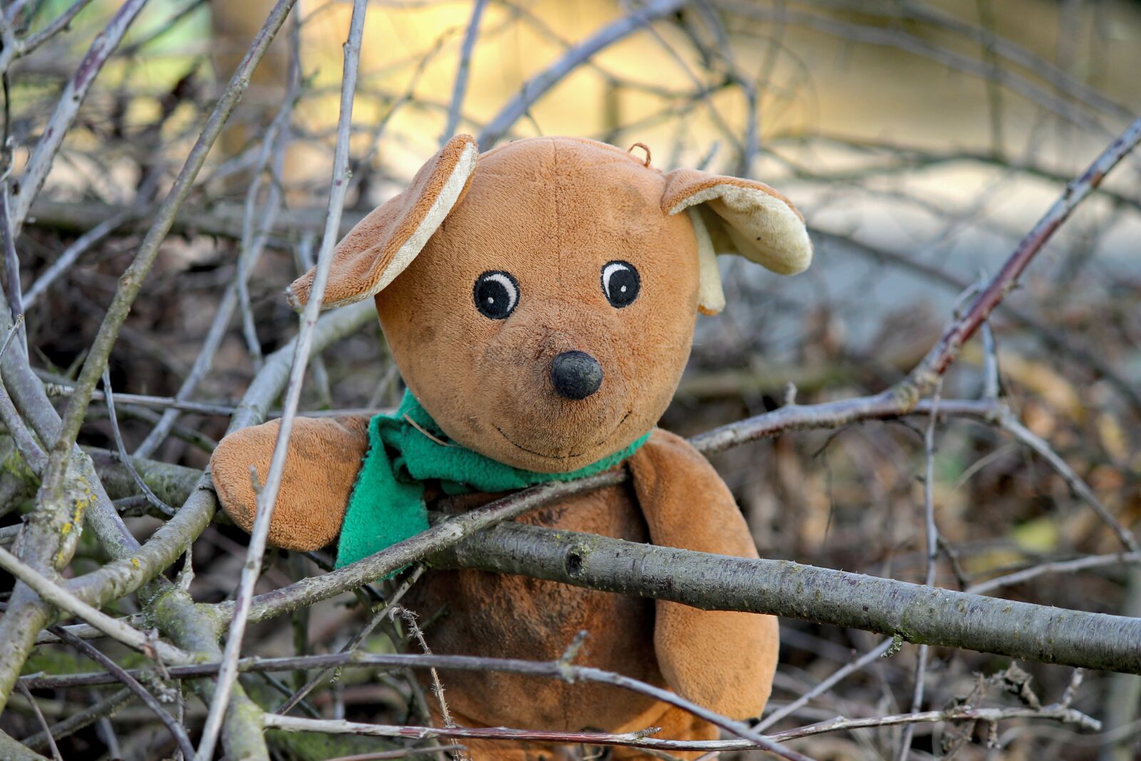 Canon EOS 1100D (EOS Rebel T3 / EOS Kiss X50) sample photo. Bear, teddy bear, teddy photography