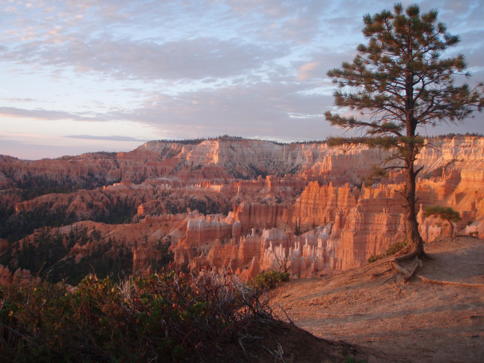 Olympus u770SW,S770SW sample photo. Bryce canyon, scenery, utah photography