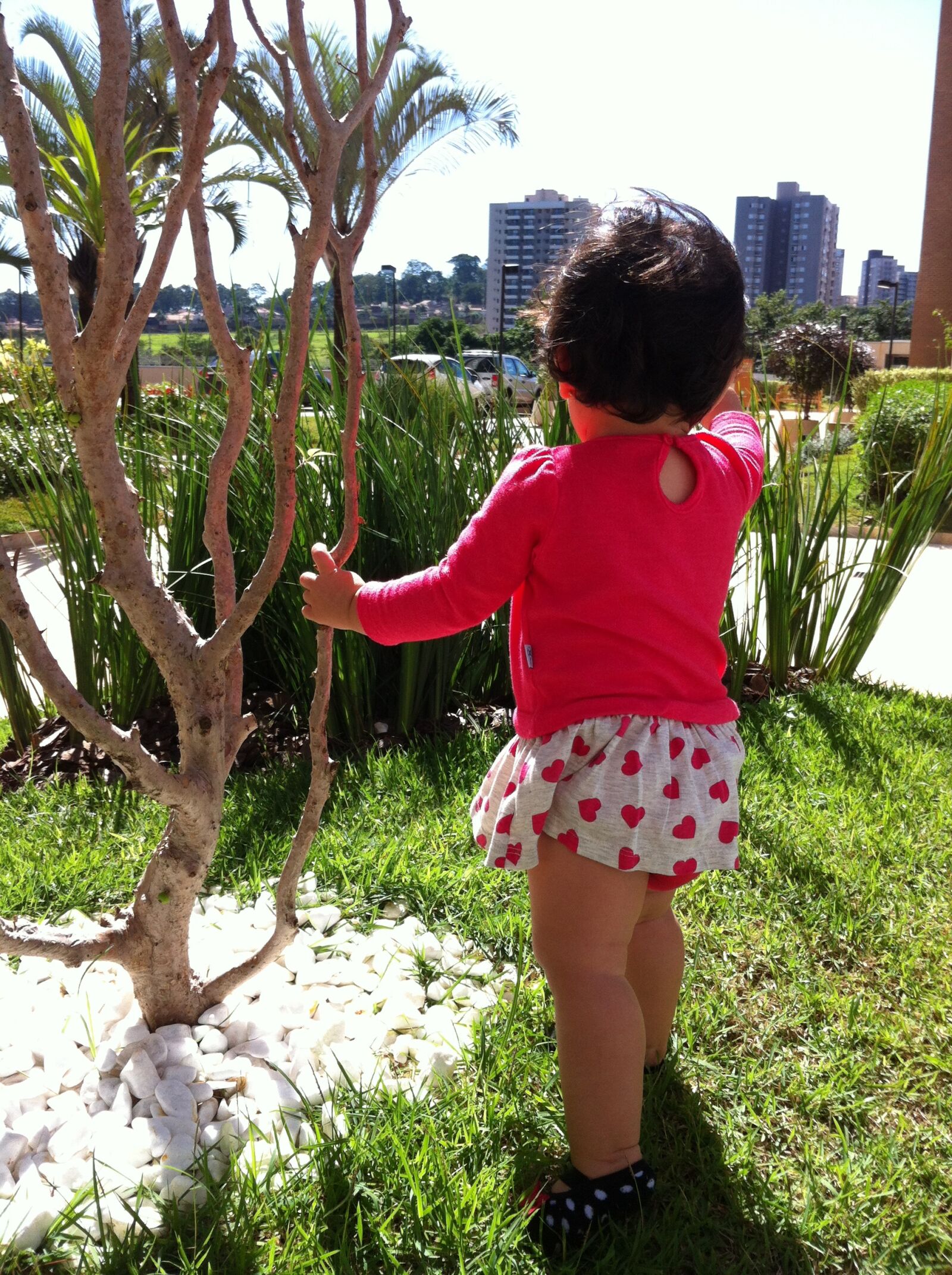 iPhone 4 back camera 3.85mm f/2.8 sample photo. Baby, nature, child playing photography
