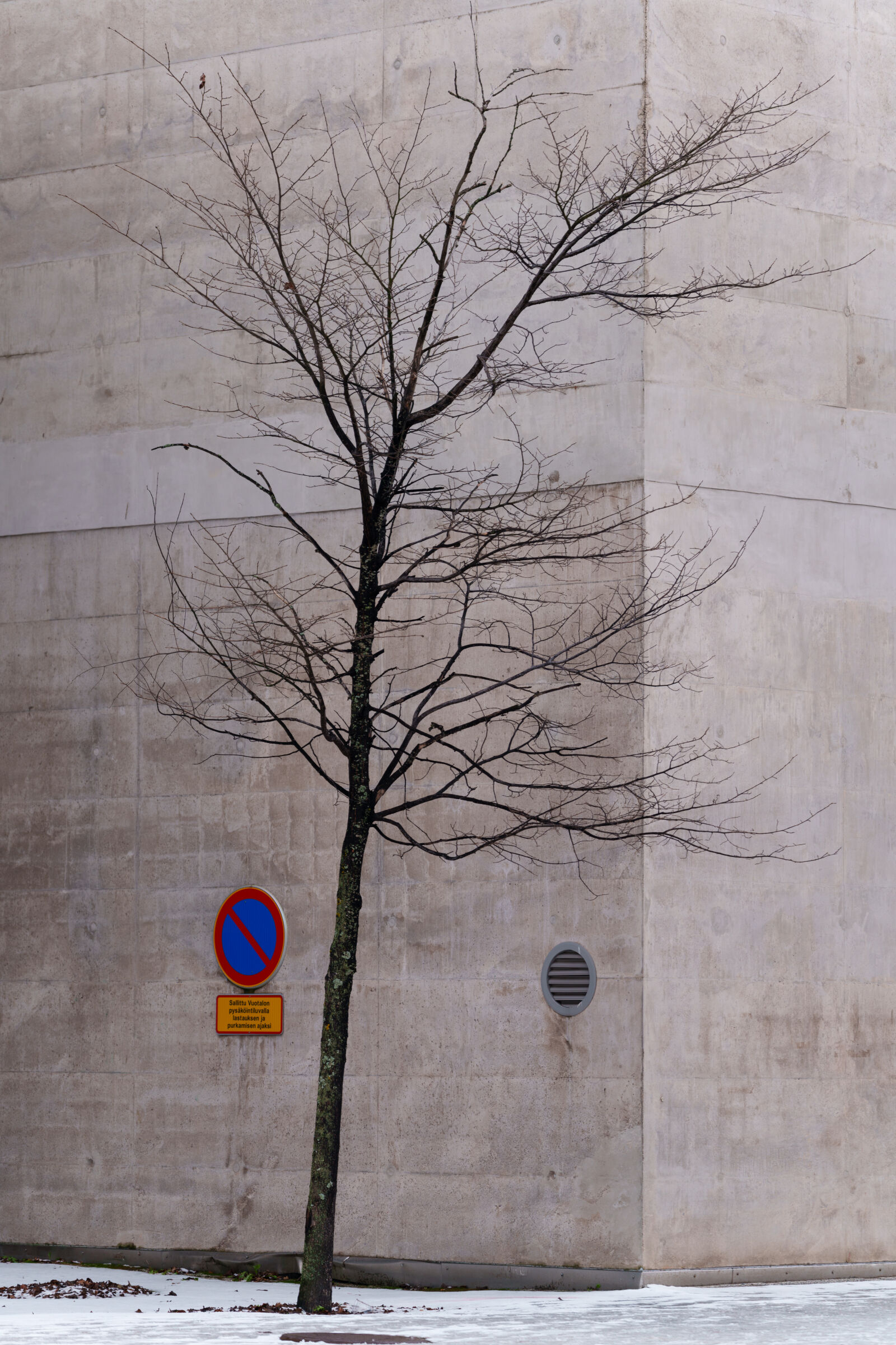 Sigma 70-200mm F2.8 DG DN OS | Sports sample photo. Tree by the building photography