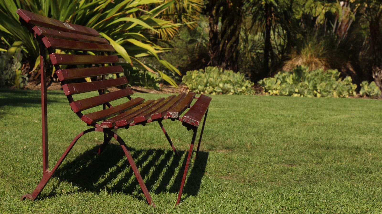 Canon EOS 700D (EOS Rebel T5i / EOS Kiss X7i) + Canon EF 50mm F1.8 II sample photo. Summer, bench, grass photography