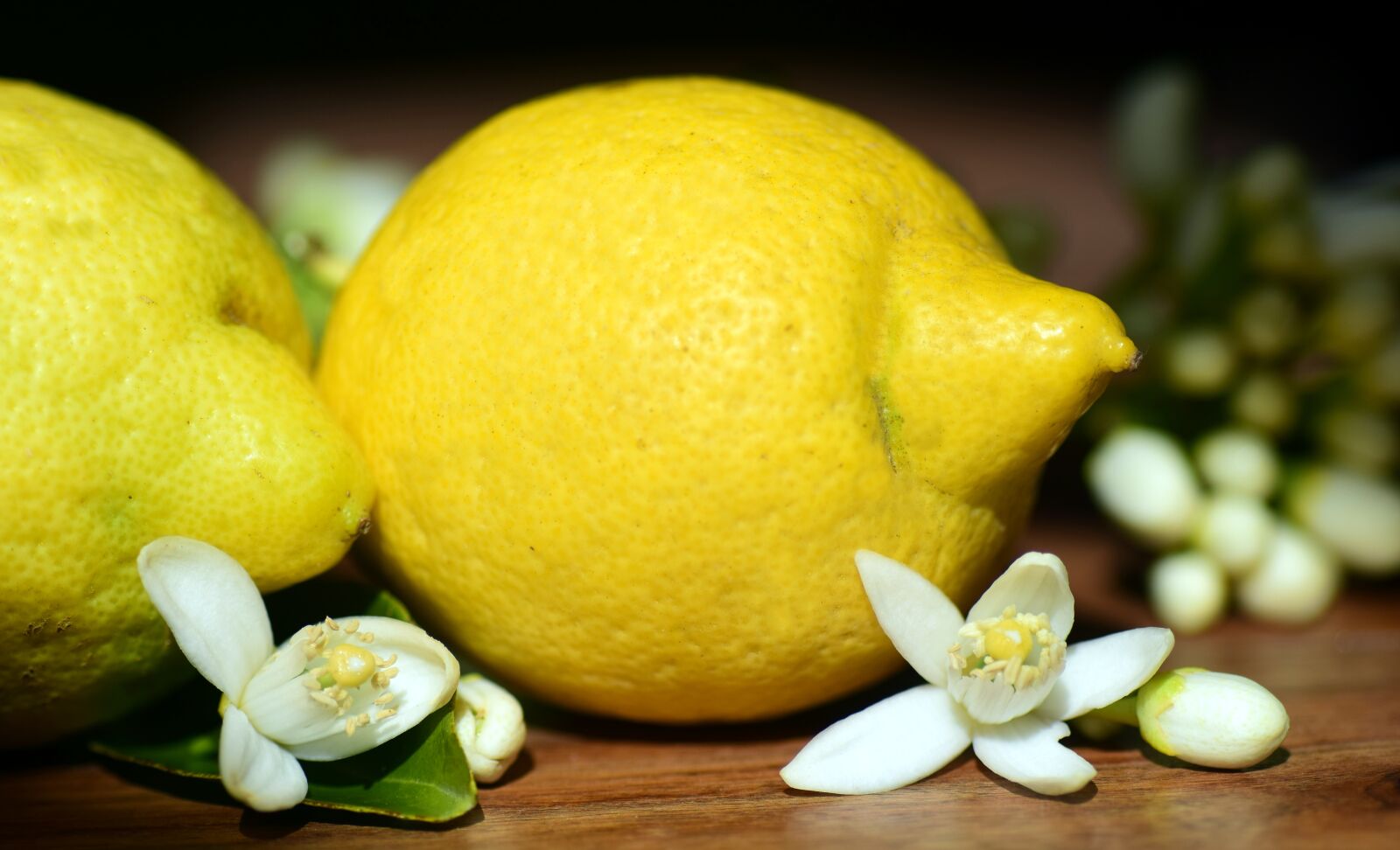 Nikon D3300 sample photo. Lemons, lemon blossom, blossom photography