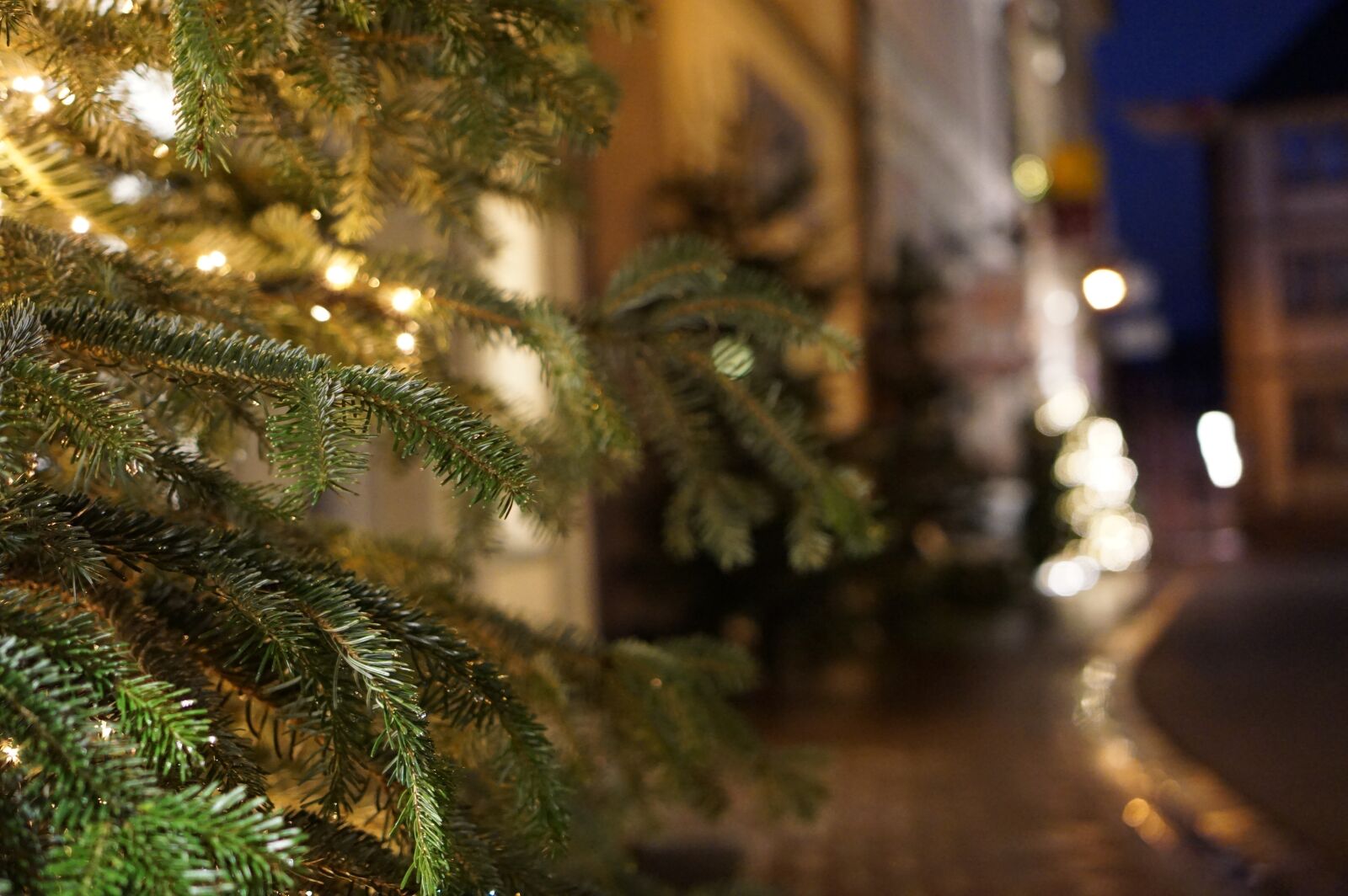 Sony a6000 + Sony E 35mm F1.8 OSS sample photo. Bamberg, christmas, historic center photography