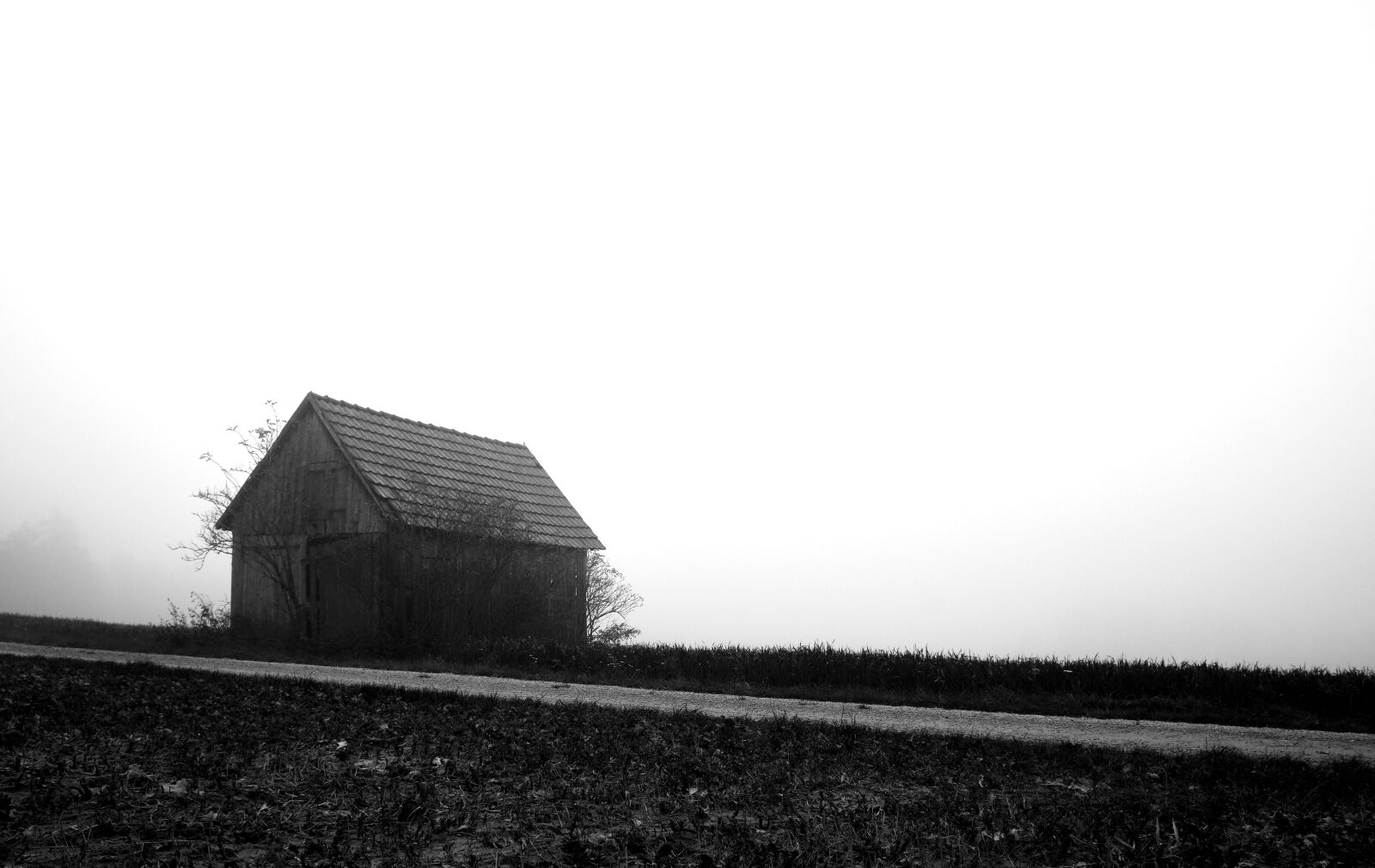 Fujifilm XF 18-55mm F2.8-4 R LM OIS sample photo. Cottage in the fog photography