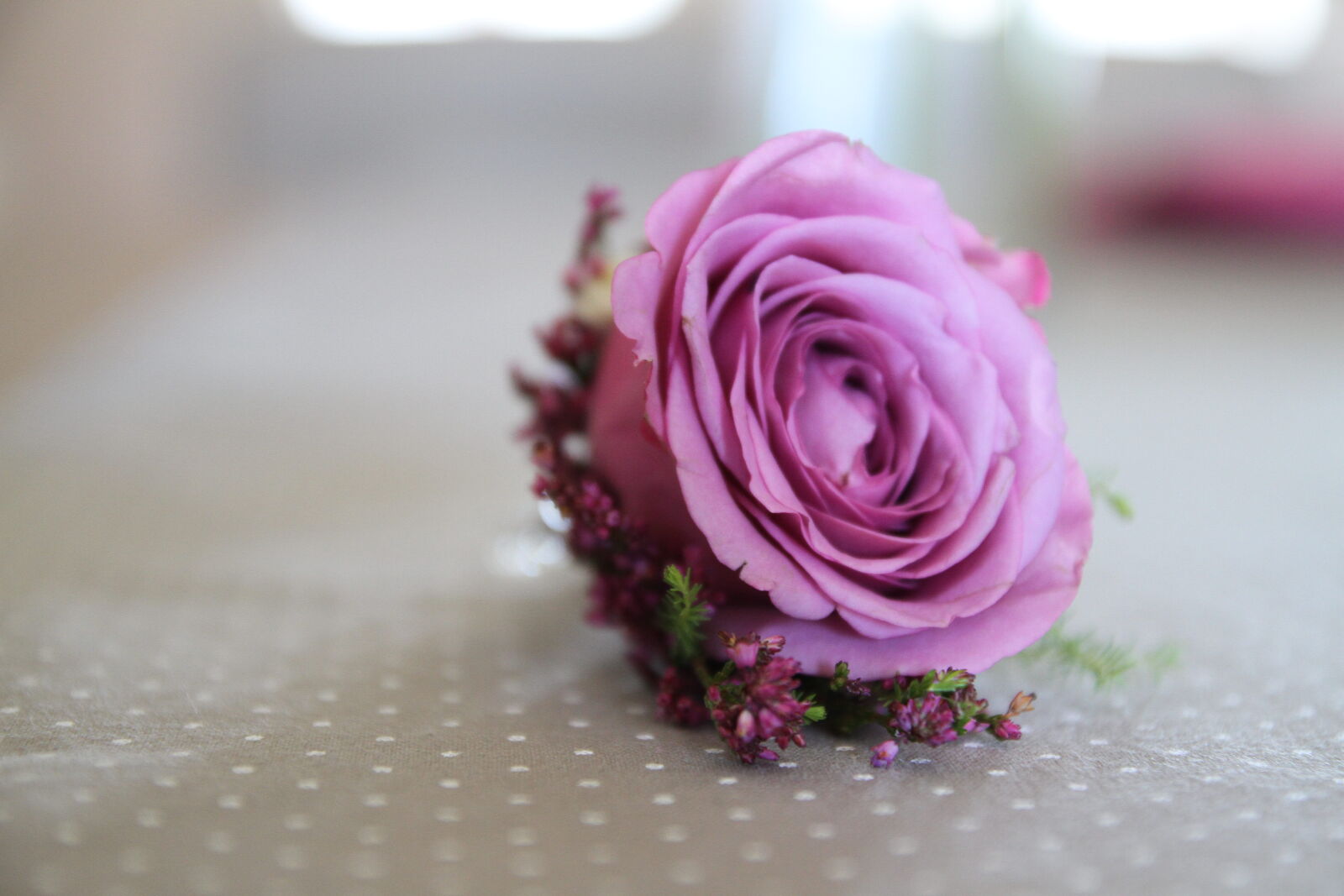Canon EOS 7D sample photo. Interior decoration, pinkish, rose photography