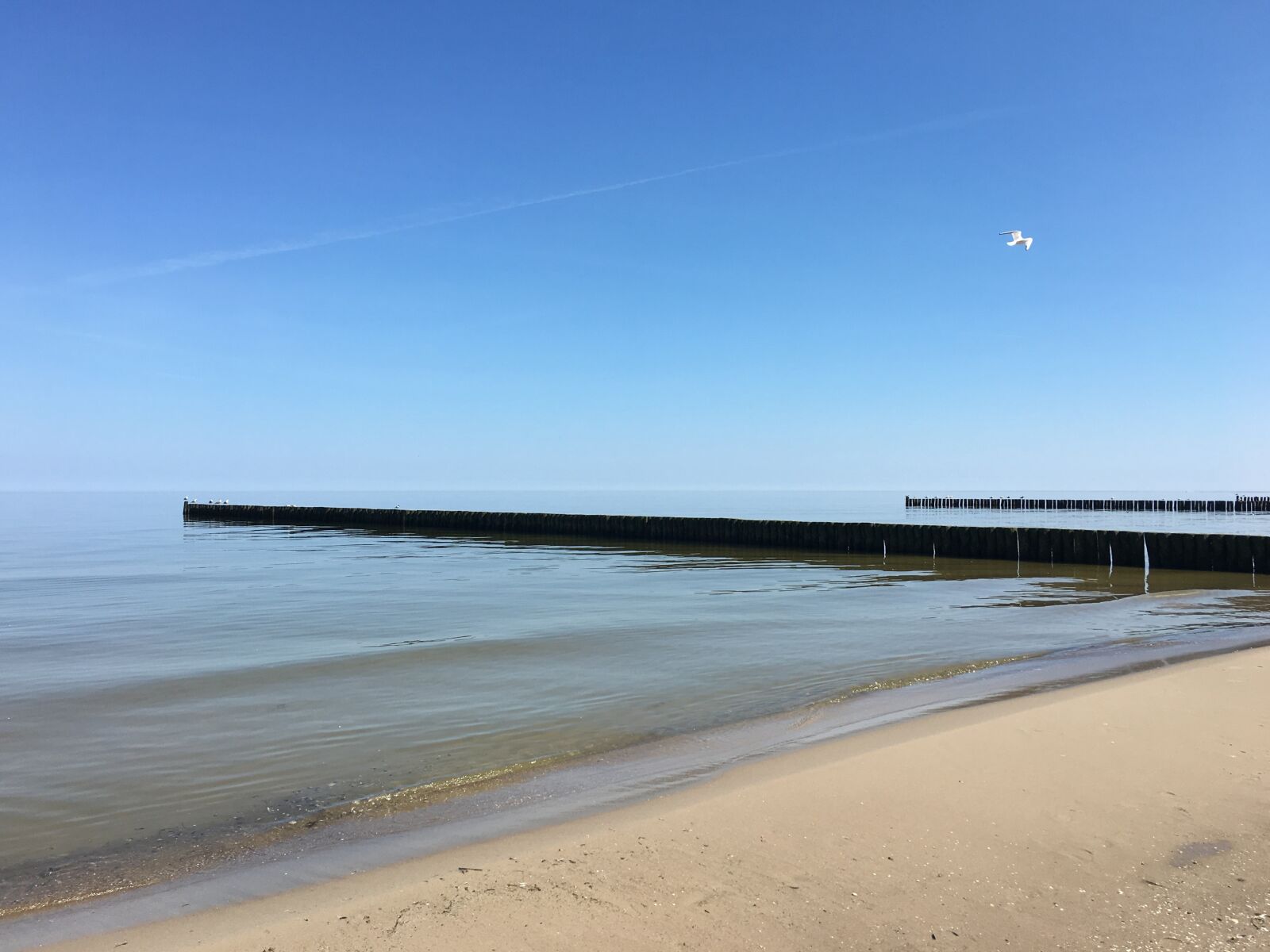 Apple iPhone 6s sample photo. Beach, baltic sea, sea photography